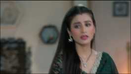 Jamai No.1 - 13th June 2025